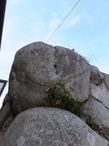 神戸の見附跡の石垣（10712）に残された木戸を支えた跡