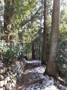大雪の後の多岐原神社へ