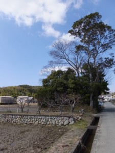 加努弥神社