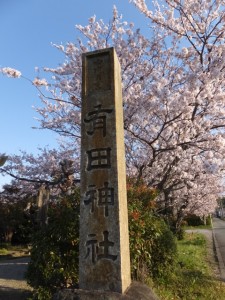 有田神社の桜（伊勢市小俣町湯田）