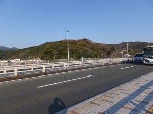 安楽島大橋（加茂川）から望む赤崎神社の社叢