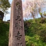 「史蹟及名勝 吉野山」の石柱としだれ桜