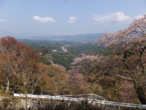 横川覚範の首塚から花矢倉への上りの山道からの眺望