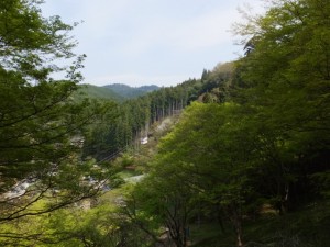 七曲坂から望む吉野山ロープウェイ