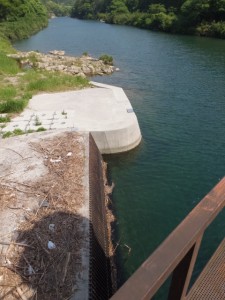 滝原ダム、長発電所へ導水するための取水口（大内山川）