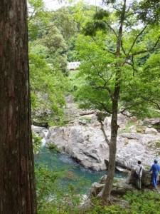 水戸神神社付近から大滝峡越しに望むJR紀勢本線