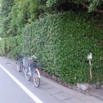 河原神社（毛理神社を同座）前に駐められた二台の自転車