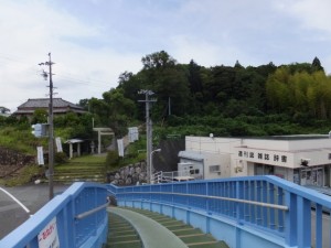 中村歩道橋（国道23号 中村町北交差点）から望む上田神社の社叢