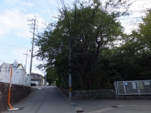 県道37号下（度会橋西詰付近）