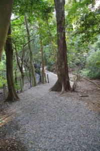 上御井神社の遥拝場所への小道（2012年10月）