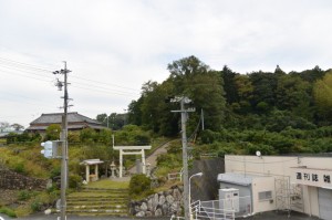 中村歩道橋（国道23号 中村町北交差点）から望む上田神社の社叢