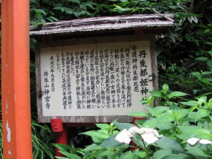 丹生都姫神社の説明板（丹生山神宮寺） 2011年11月05日時点