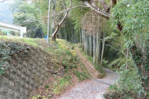 多岐原神社への参道