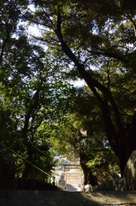 満留山神社（鳥羽市安楽島町）