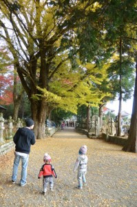積田神社の紅葉（名張市夏見）