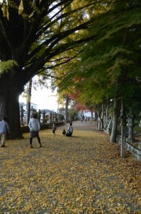 積田神社の紅葉（名張市夏見）