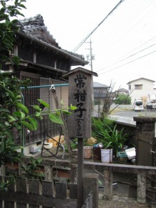 橘神社の常柑子（2010年10月31日時点）