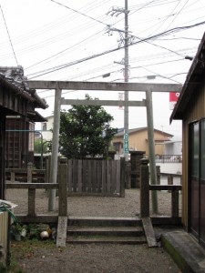 橘神社の常柑子（2010年10月31日時点）