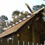 竹神社、檜皮葺の本殿（明和町斎宮）