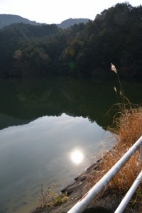 山田寺から伊勢自動車道の先、左方向にあるため池