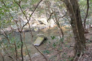 五十鈴川で見つけた流された橋脚（高麗広公民館付近）
