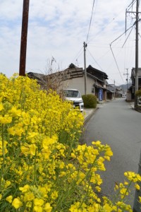 旧熊野街道（JR紀勢本線 佐奈第五踏切付近から四神田方向を望む）
