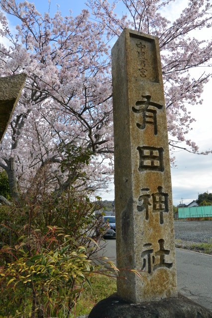 有田神社の桜（伊勢市小俣町湯田）