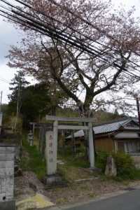 赤井神社の参道（伊勢市上野町）
