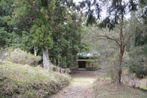 赤井神社（伊勢市上野町）