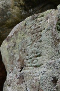 「石工安造」の銘が刻された石（桂林寺の石垣）