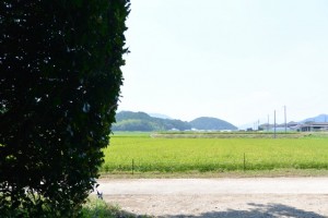 川原神社（皇大神宮摂社）付近の田園風景