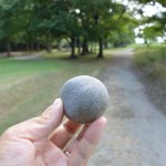宮川の川原で見つけたエセ丸い石？