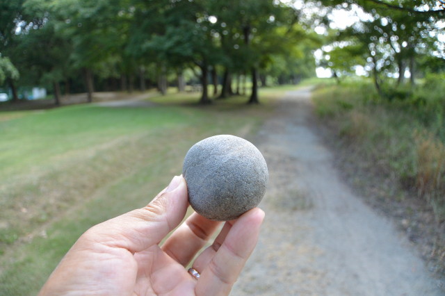 宮川の川原で見つけたエセ丸い石？