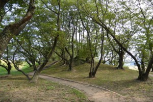 駿河堤（宮川右岸）