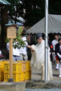 河邊七種神社のお白石持行事（伊勢市河崎）