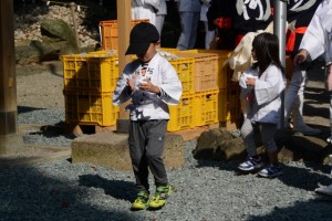 河邊七種神社のお白石持行事（伊勢市河崎）