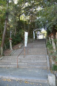 お木曳き当日の松阪神社（松阪市殿町）
