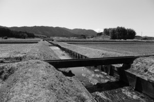 田乃家神社（皇大神宮 摂社）付近の農業用水路と小川
