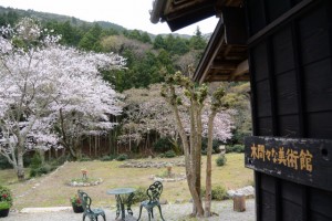 木間々な美術館から望む横輪桜（伊勢市横輪町）