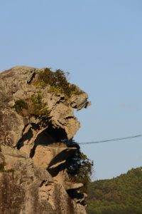 通りすがりに垣間見た獅子岩（熊野市井戸町）