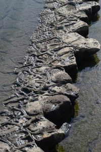 青島の周囲にある鬼の洗濯板（青島の隆起海床と奇形波蝕痕、波状岩）
