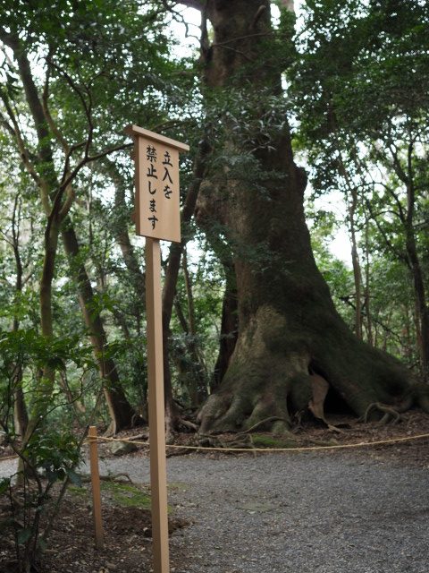 大津神社（皇大神宮 末社）付近に立てられた「立入を禁止します」の警告板