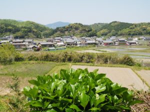 立梅用水（勢和中学校〜古江隧道入口）からの風景