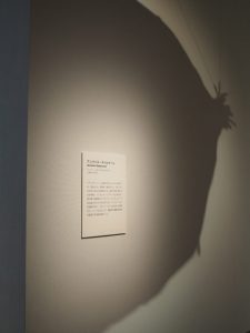 テオ・ヤンセン展 人工生命体、上陸！＠三重県立美術館
