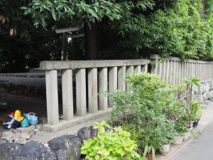 コンクリート製の柵を歪める木の力、清野井庭神社（豊受大神宮 摂社）
